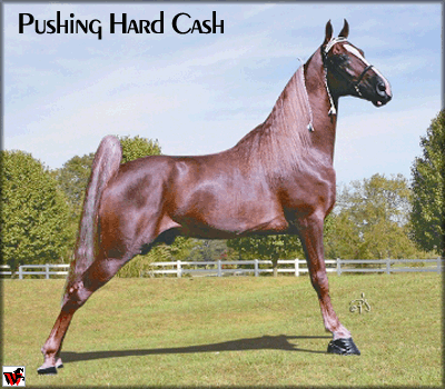 Hartland Tennessee good Walker Gambler's Choice Crackle Model Voris